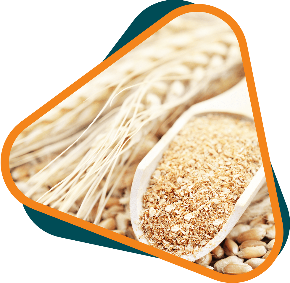 Compostable Wheat Husk Sustainable custom branded wheat husk products