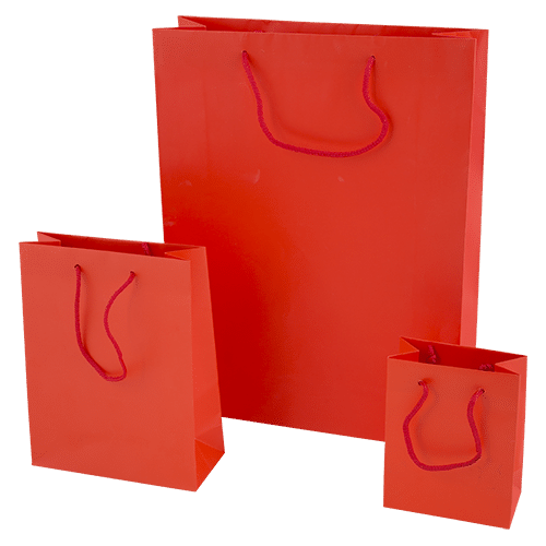 Red Luxury Rope Handle Gift Bags Bagprint.ie