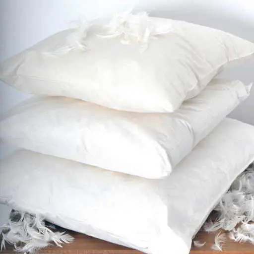 Feather Cushion Filler Handcrafted Buy online at Baigali Designs