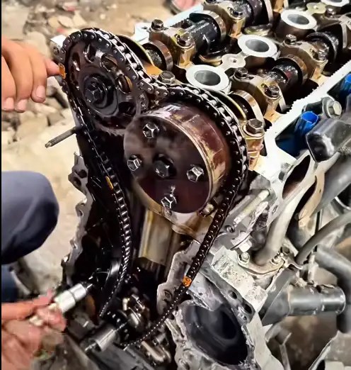 Timing Belt VS Timing Chain