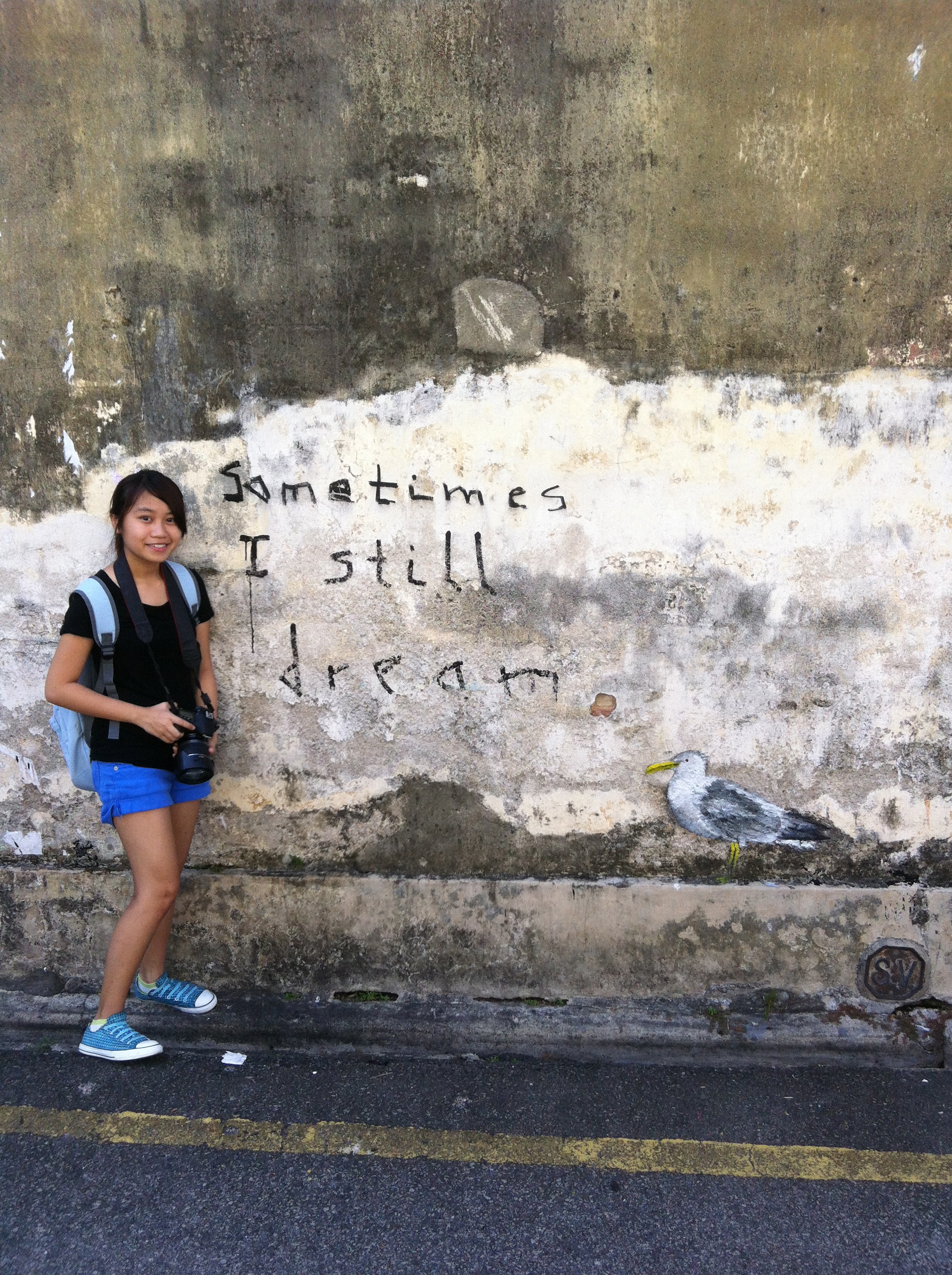 penang wall paintings by Ernest Different but beautiful