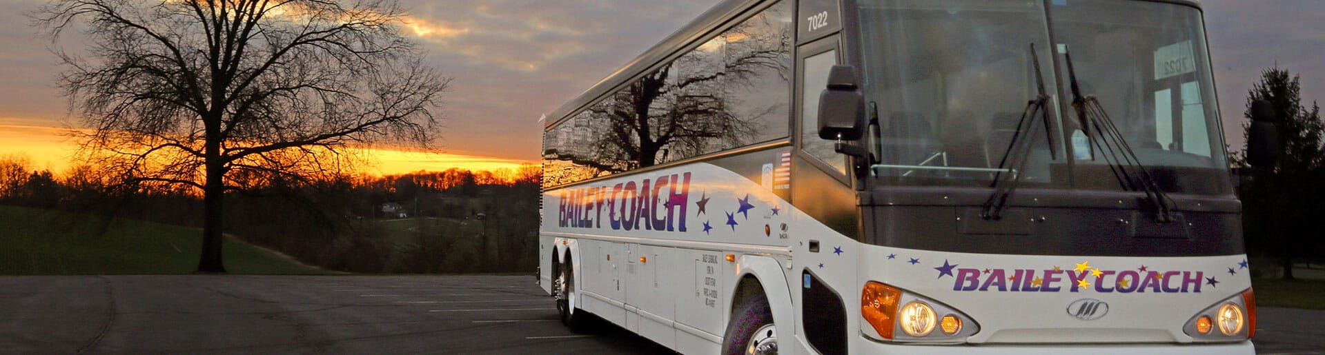 BaileyCoachBTCrop Bailey Coach