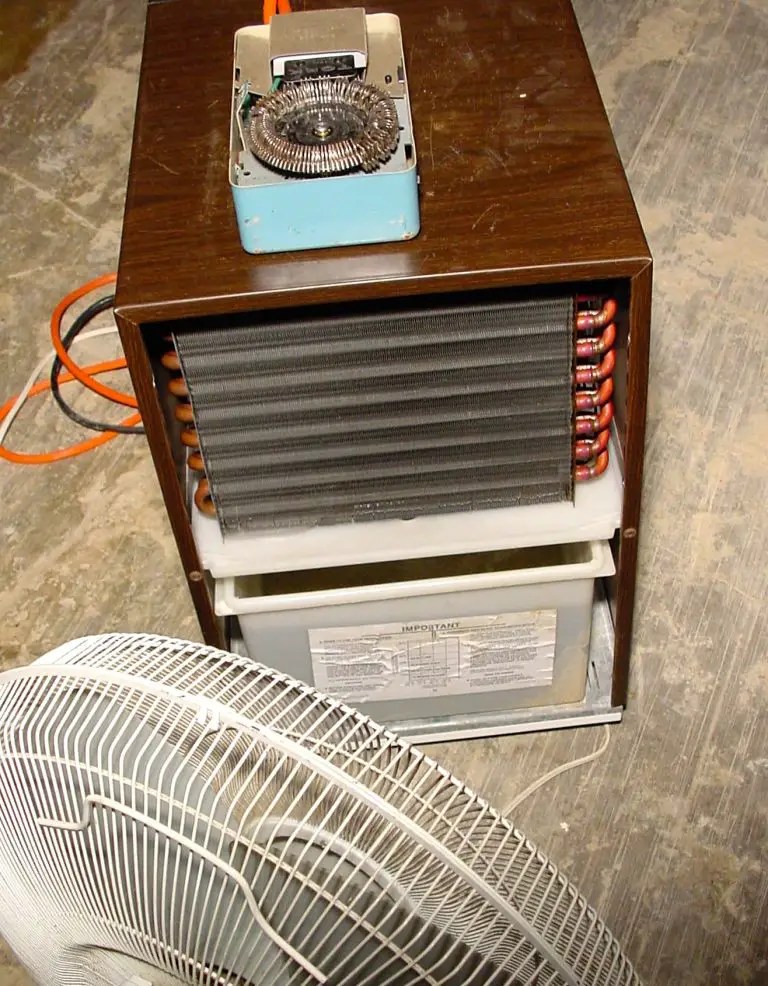 REC ROOMS 101 The Real Way to Prevent Dangerous Mold in Your Finished