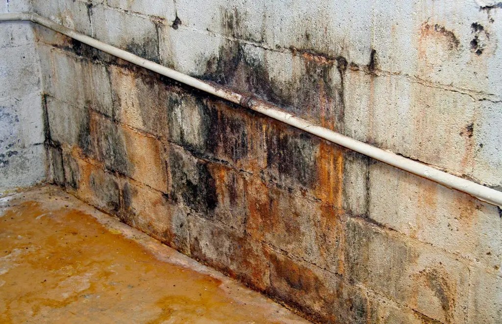 REC ROOMS 101 The Real Way to Prevent Dangerous Mold in Your Finished REC ROOMS 101 The Real Way to Prevent Dangerous Mold in Your Finished