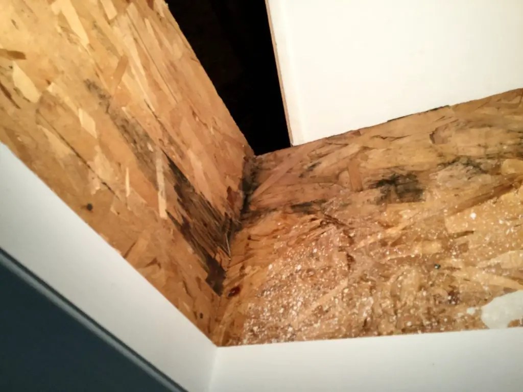 GOT STRANGE LEAKS IN YOUR ROOF? Melting Attic Condensation May Be the