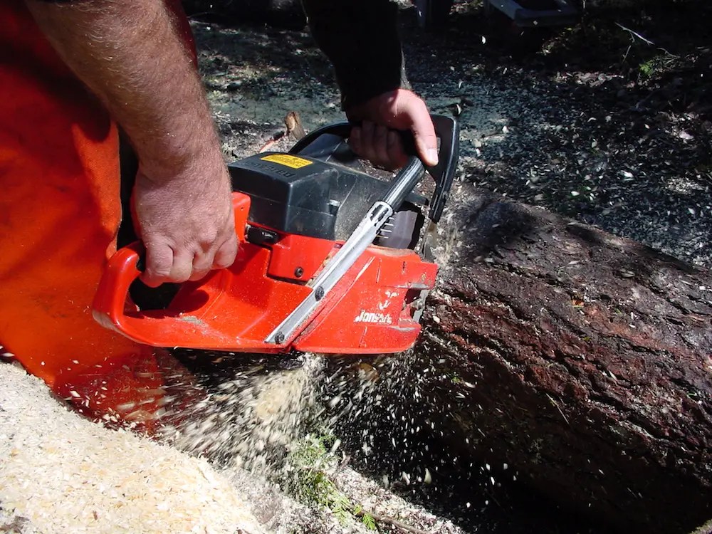EXTENDING CHAINSAW LIFE Watch & Learn the Tips That Kept This Saw Going for 30+ Years