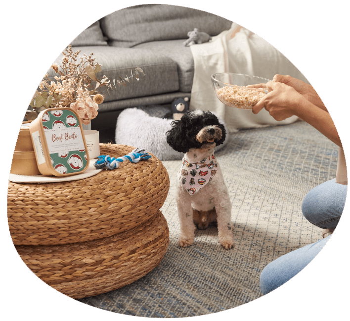 Our philosophy Bailey's Bento