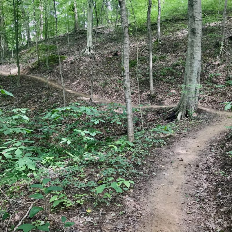 Coal Train Baileys Trail System Baileys Trail System