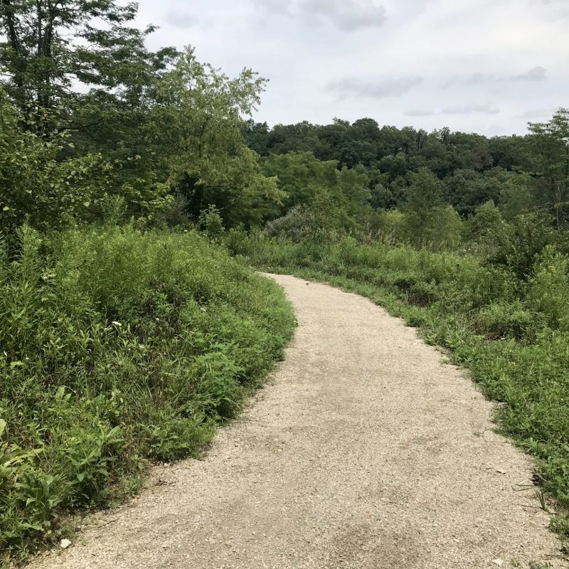 Chauncey Depot Baileys Trail System Baileys Trail System