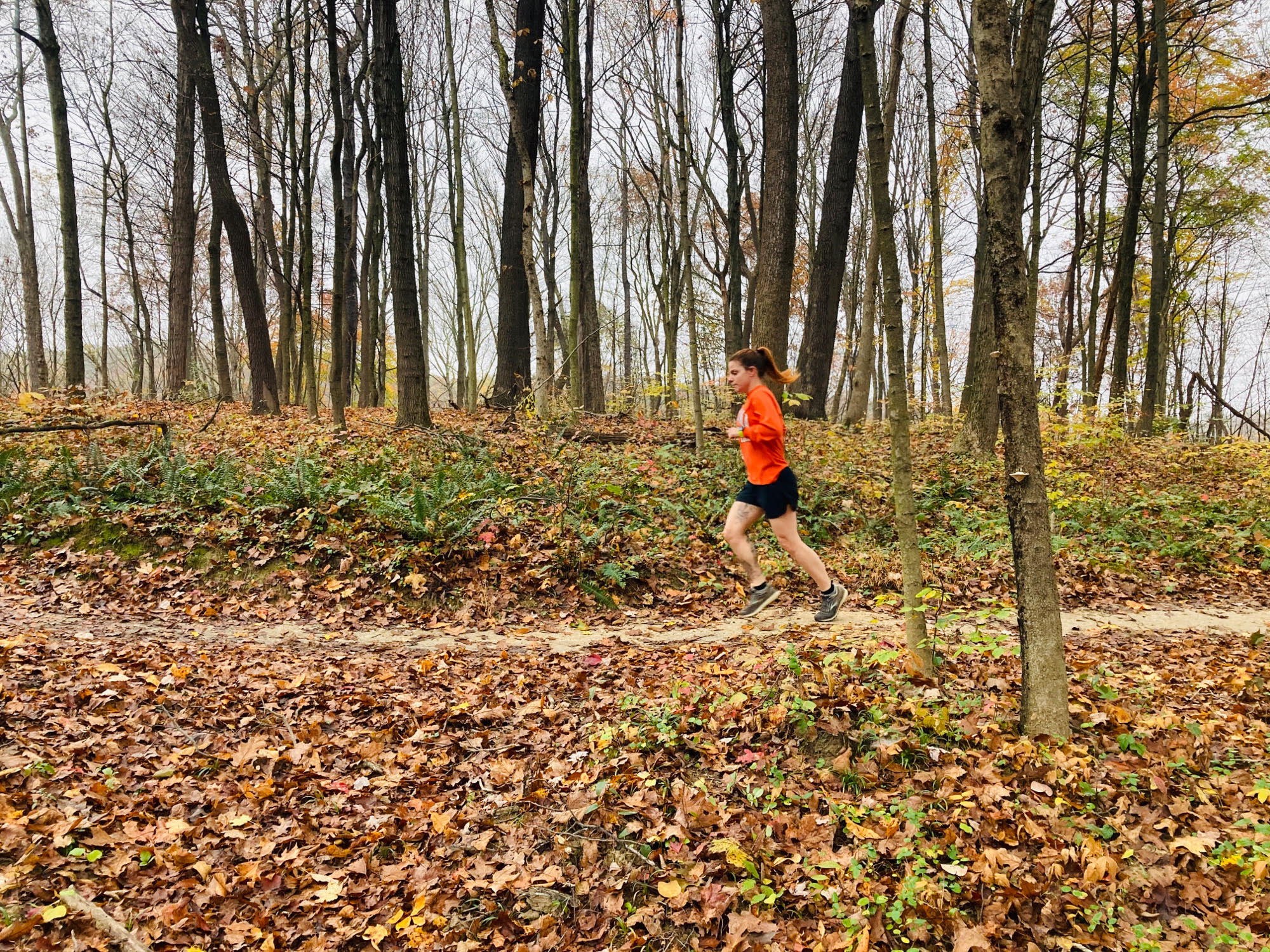 Beyond Bikes Trail Running on the Baileys Baileys Trail System