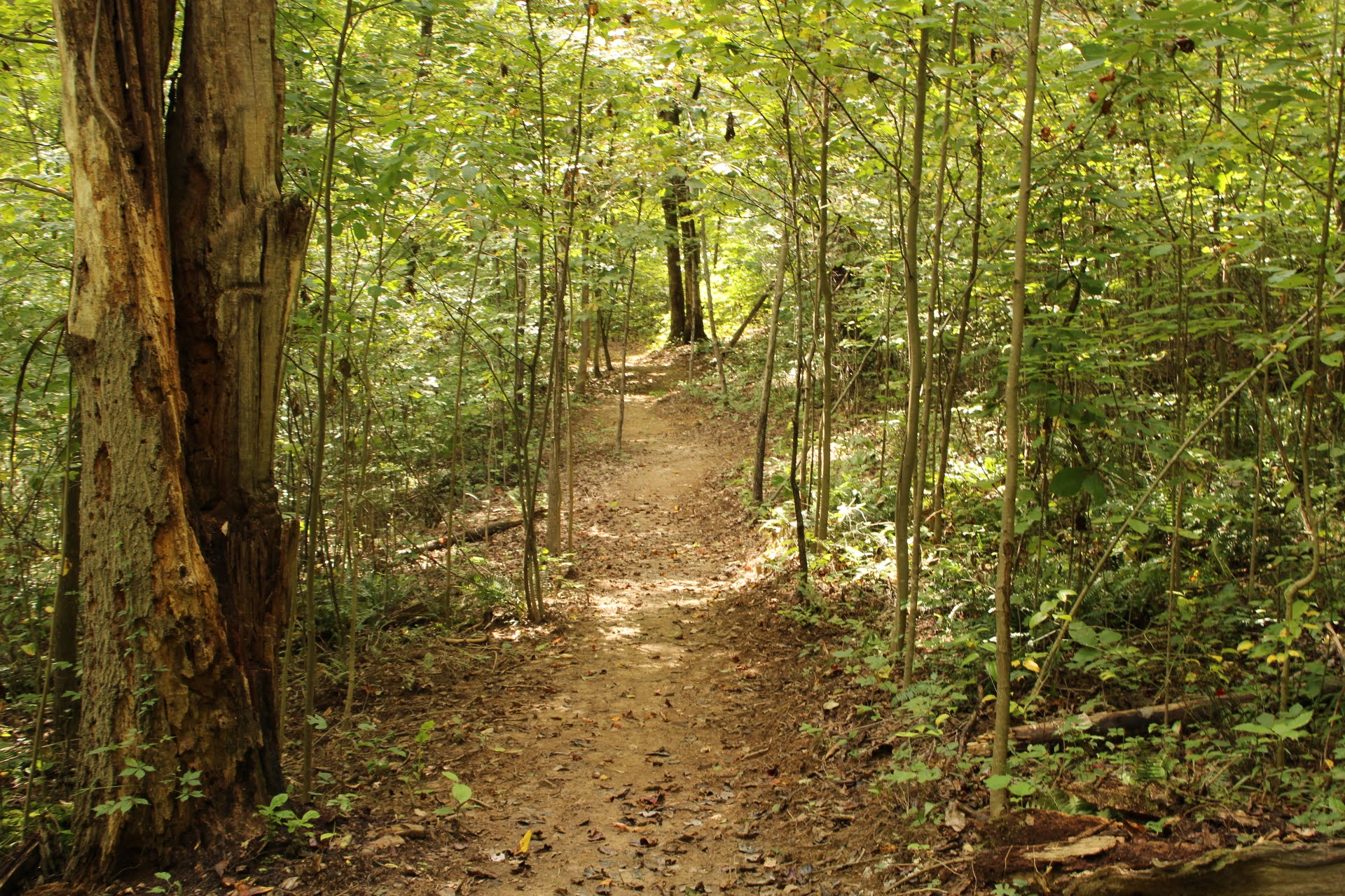 Kidwell Baileys Trail System Baileys Trail System