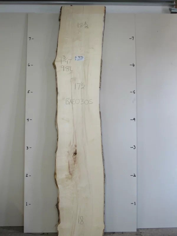 BOX ELDER SLAB BXE030S Bailey Wood Products