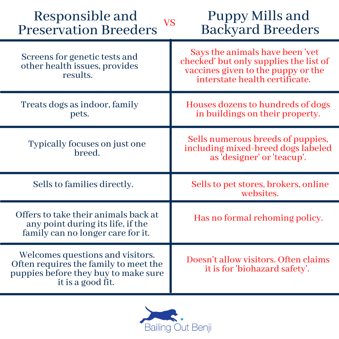 What Makes A Reputable Dog Breeder