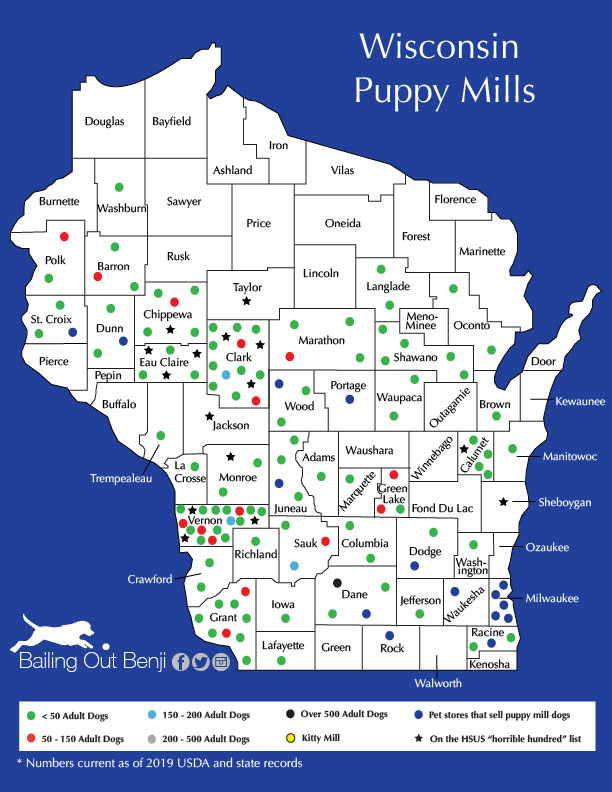 Wisconsin Puppy Store Sourcing Bailing Out Benji