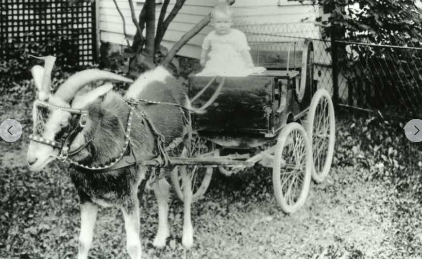 Mac N Jacks History Bainbridge Island Automotive Services