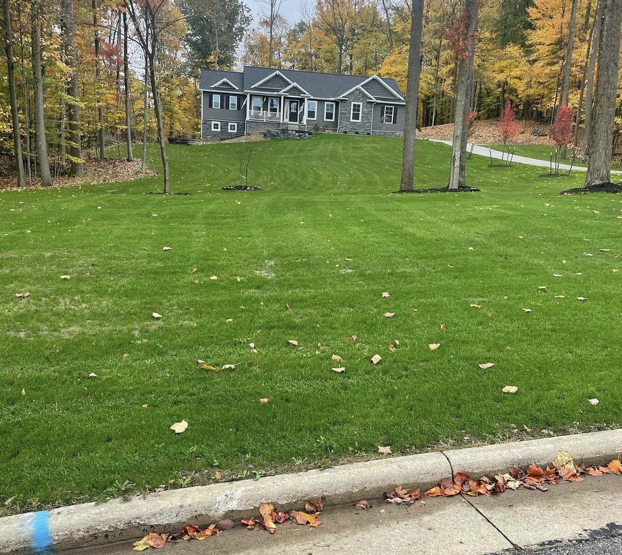 Portfolio Baird's Landscaping