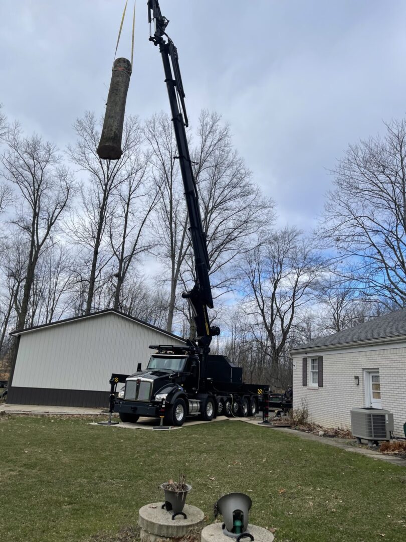 About Us Baird's Tree Service LLC