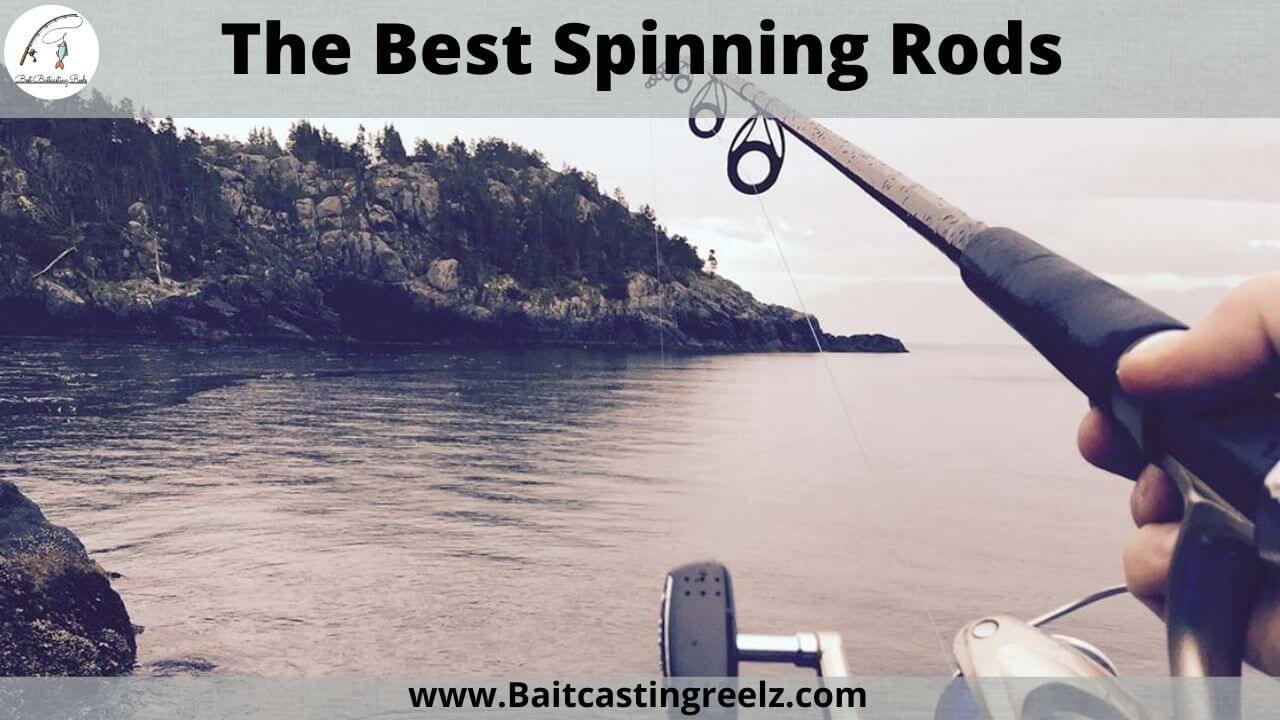 Best Spinning Rods 2023 (Reviews & Buying Guide For Beginners)