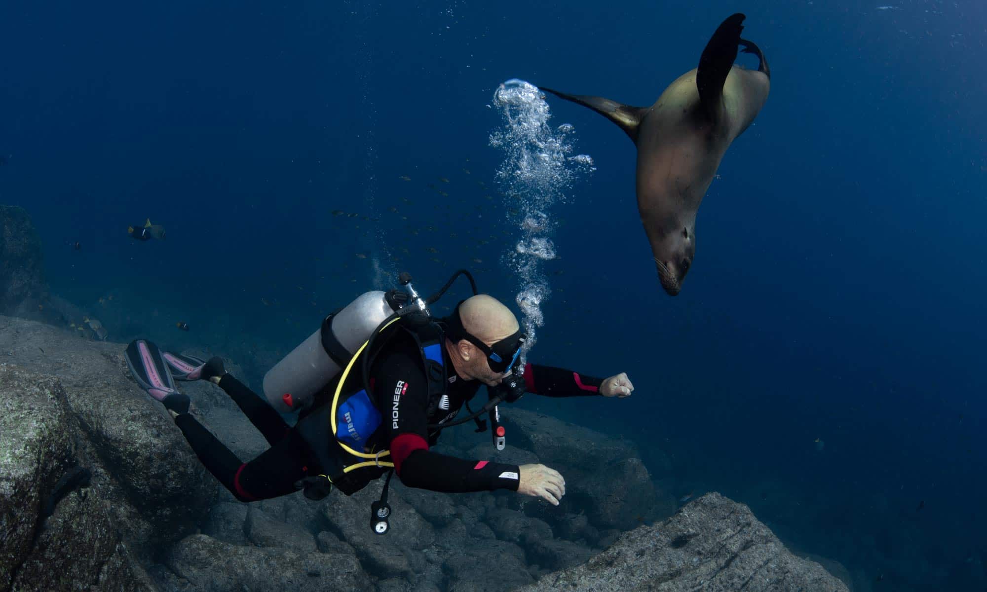 Diving The Archipelago Liveaboard La Paz Baja Expeditions