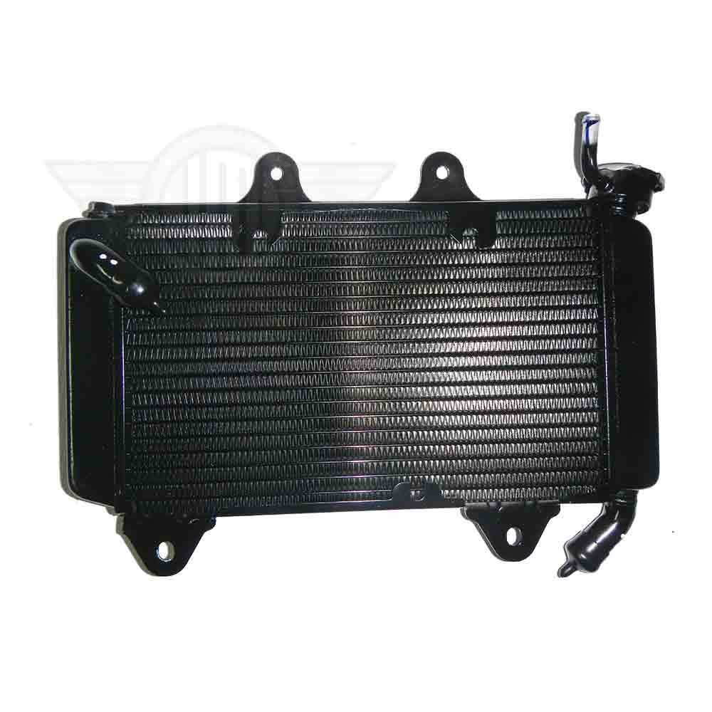 Oil Radiator/cooler Bajaj Pulsar NS 200 atelieryuwa.ciao.jp