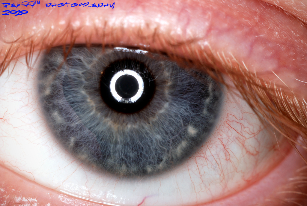 Lighting Technical Term For