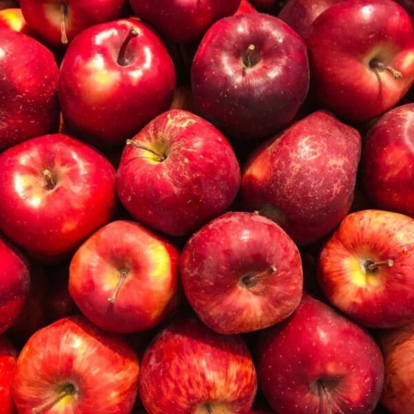 How To Store Apples (All The Best Ways To Keep Apples Fresh Longer!)