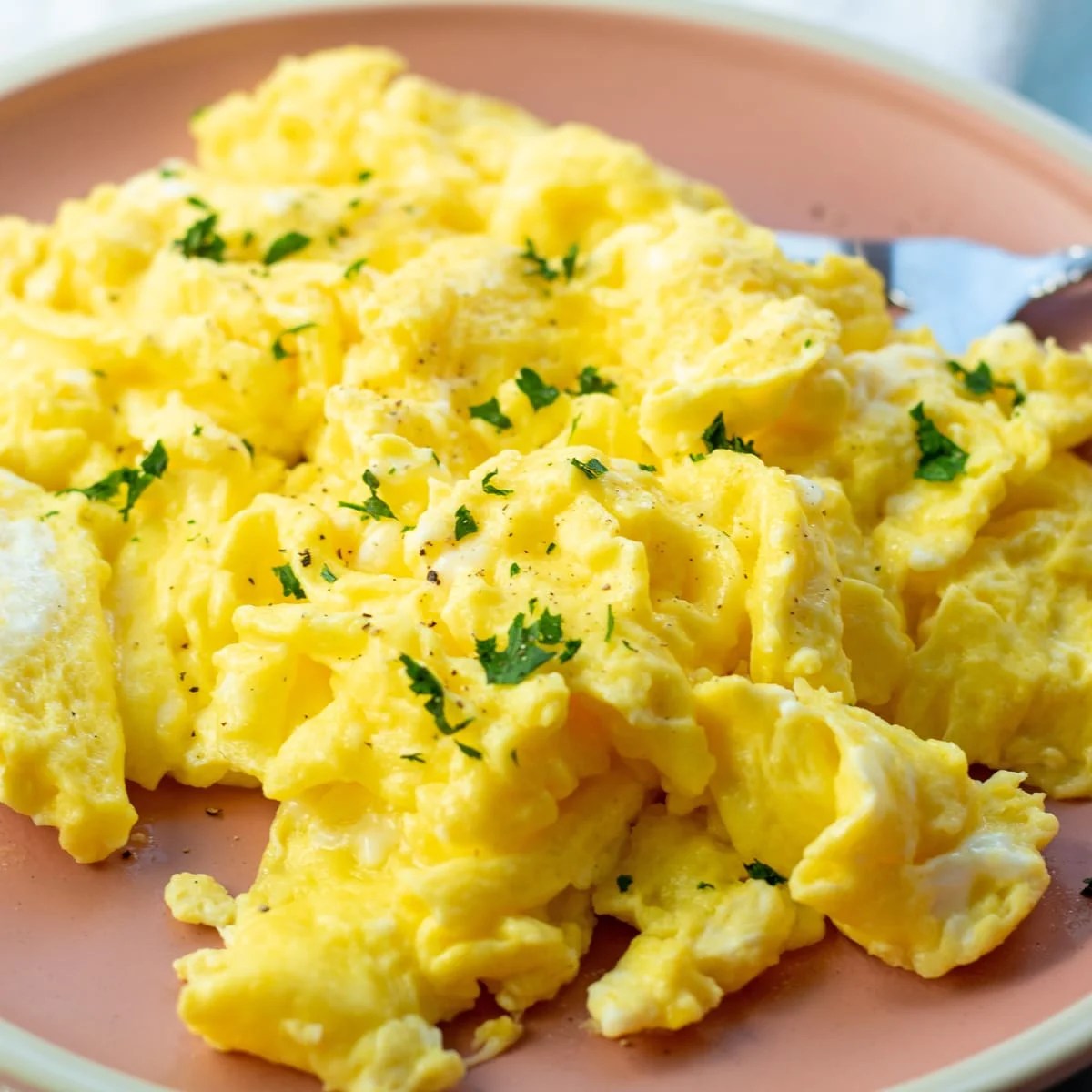 Can I Give A Puppy Scrambled Eggs
