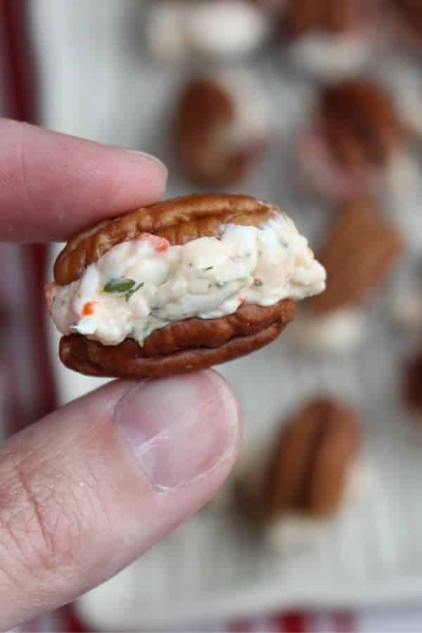 Bite Size Pecan Cheese Ball Bites Perfect Appetizer To Serve Up