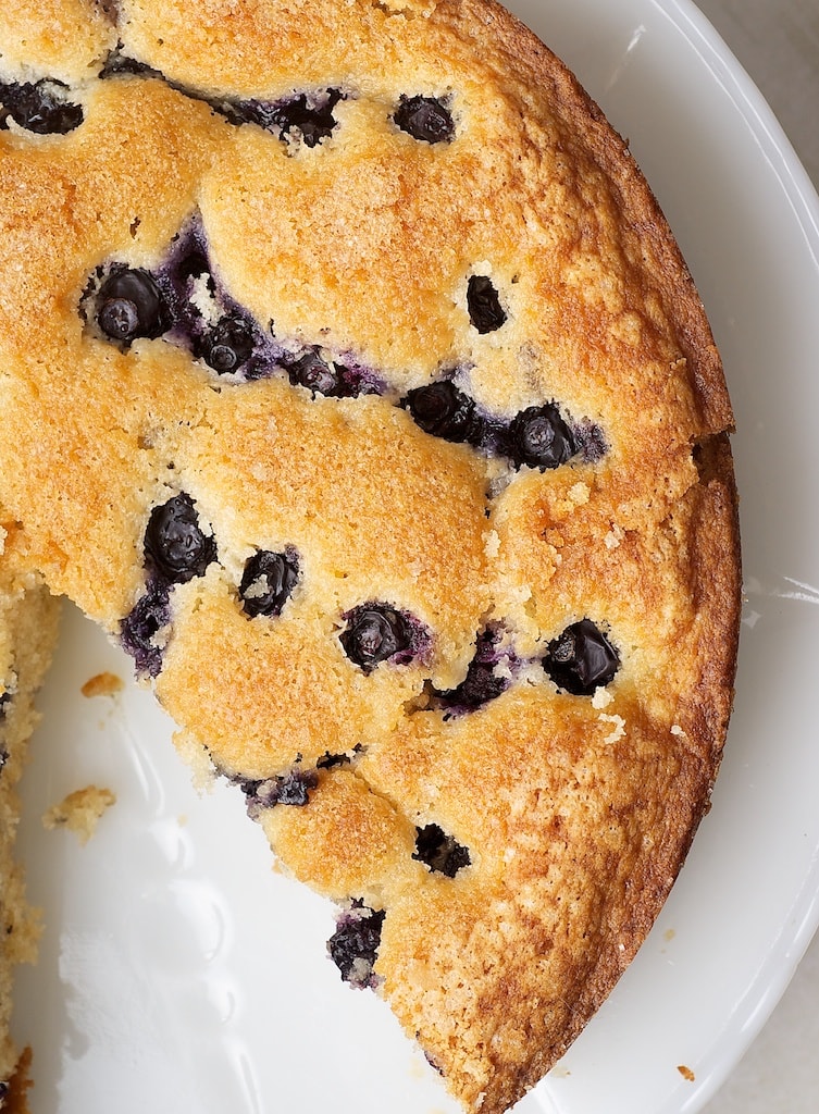 Simple Blueberry Cake Bake or Break