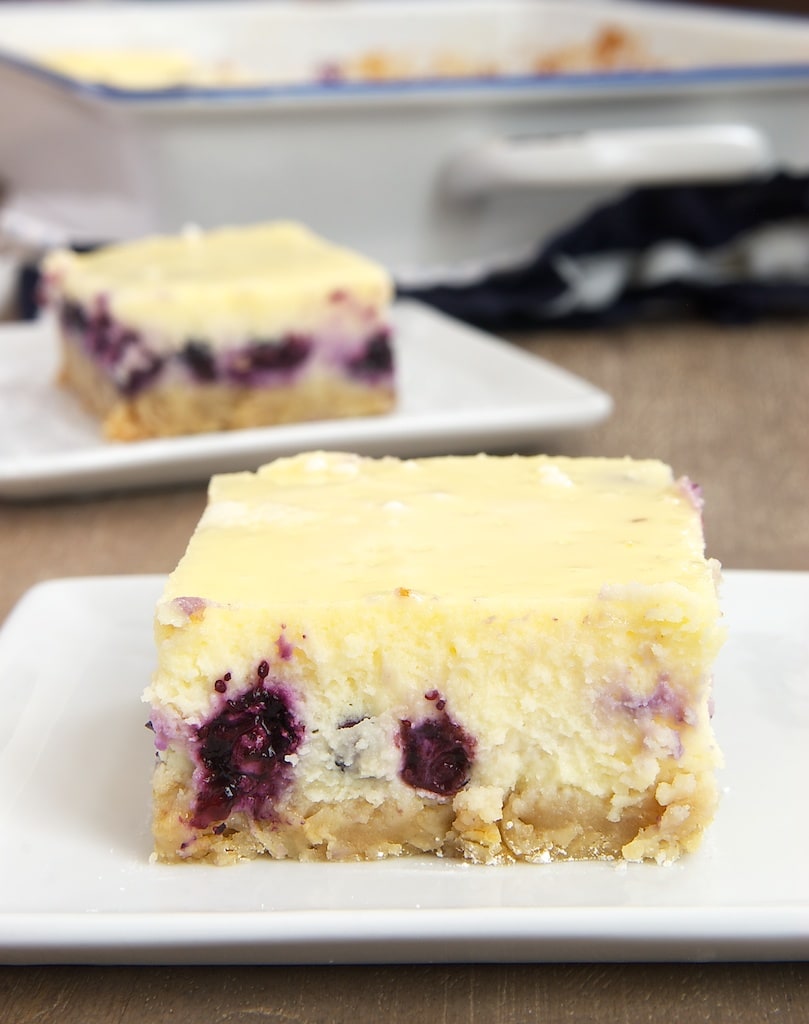 Blueberry Oat Cheesecake Bars Bake or Break