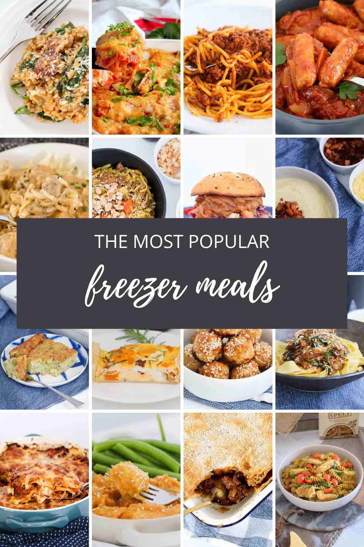 Frozen Food Recipes Delicious and Easy Ideas for Frozen Meals