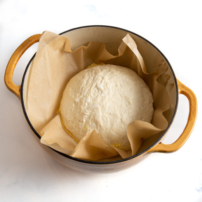 bread dough in a dutch oven proofing