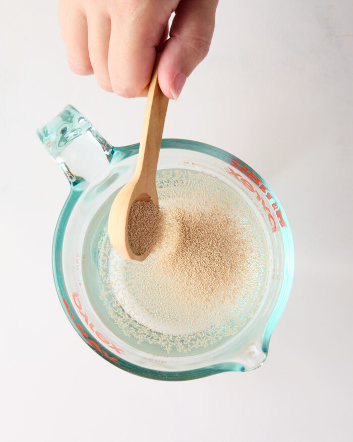 adding yeast to warm water