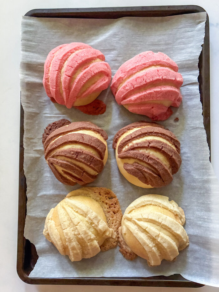 baked conchas