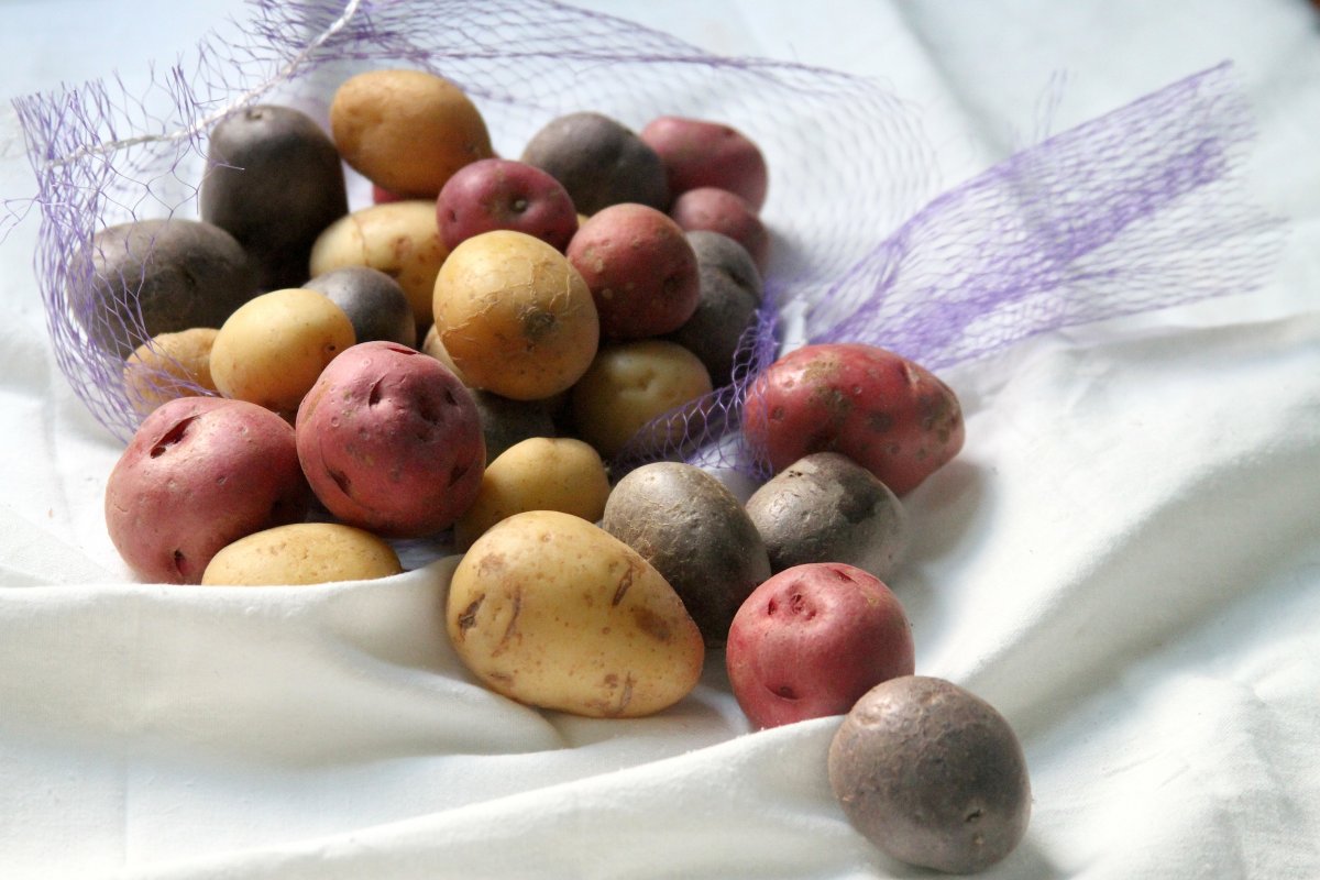 Mustard & Garlic Roasted Potatoes with Crispy Prosciutto, Shallots, and