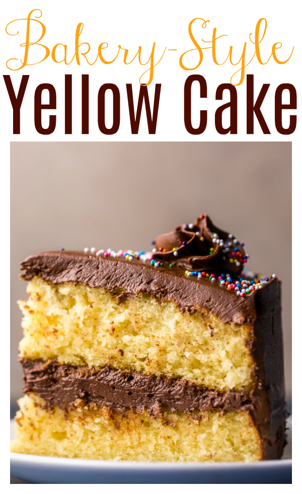 Classic Yellow Cake with Creamy Chocolate Frosting Baker by Nature