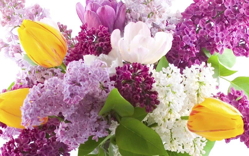 Baker Florist Flower Delivery Dover, OH Florist Dover, OH