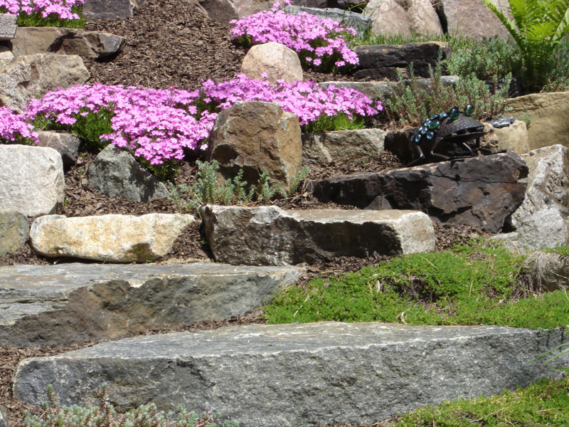 Landscape & Hardscape Portfolio Baker Landscape & Irrigation Inc.