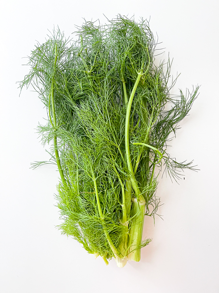 Fennel Cake with Lingonberry Sauce
