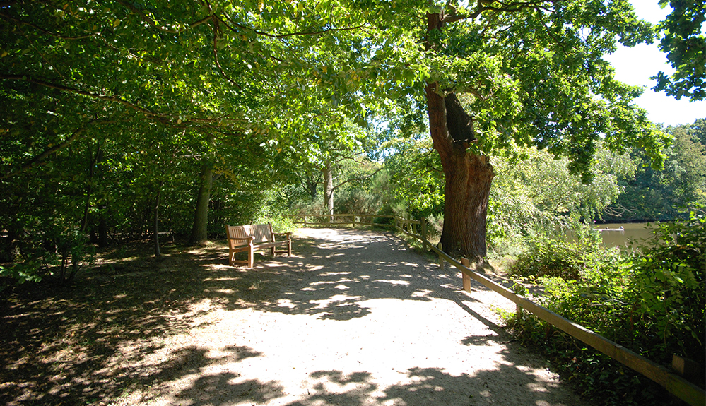 In Memory Page Bakers Funeral Services