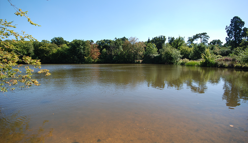 Bakers Funeral Services, based in Danbury near Chelmsford, Essex