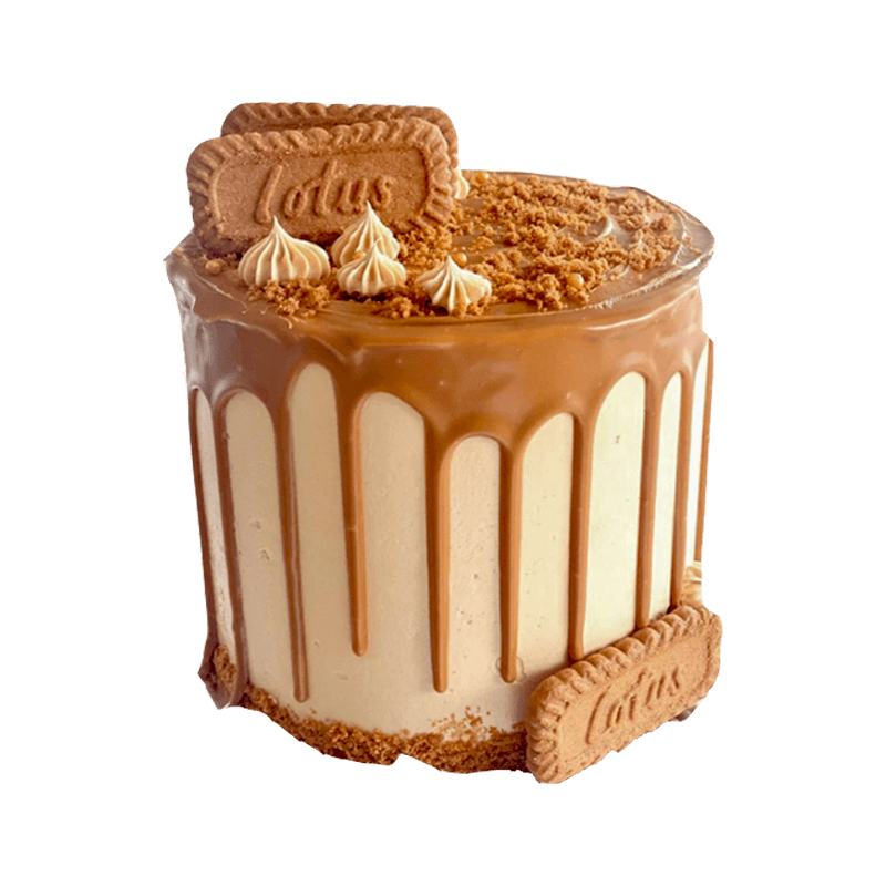 Lotus Biscoff Sponge Cake Bakers Point