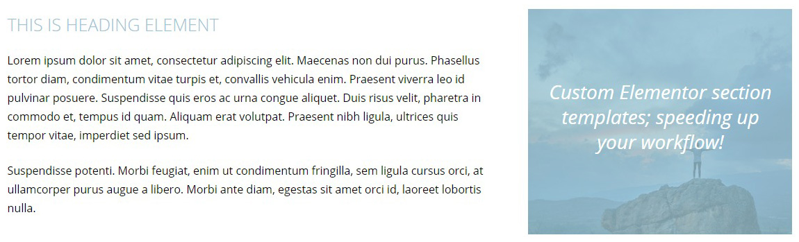 Elementor Template Text Column Background Image With Quote Baker