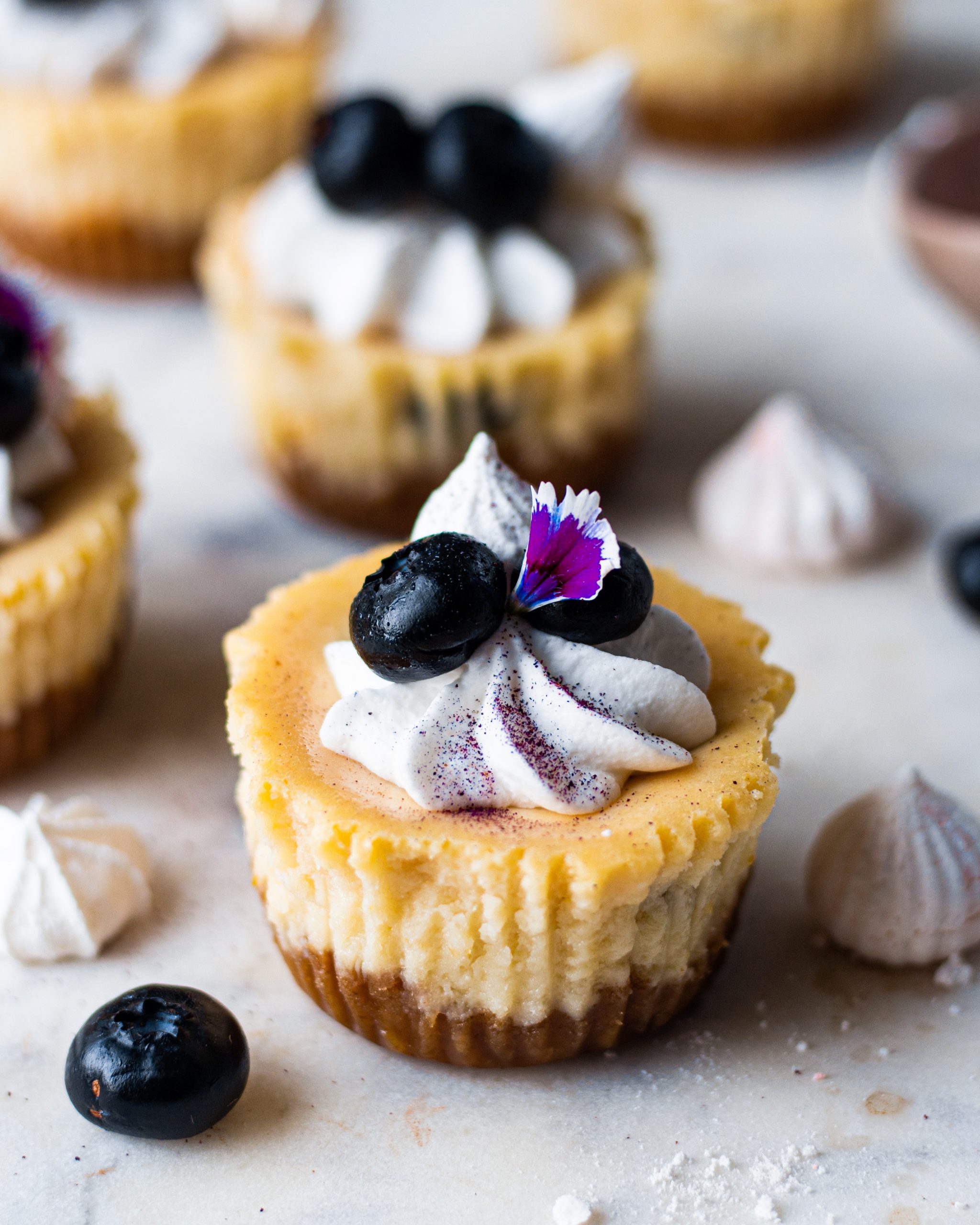 Eggless Blueberry Cheesecake Cups Recipe Bake with Shivesh