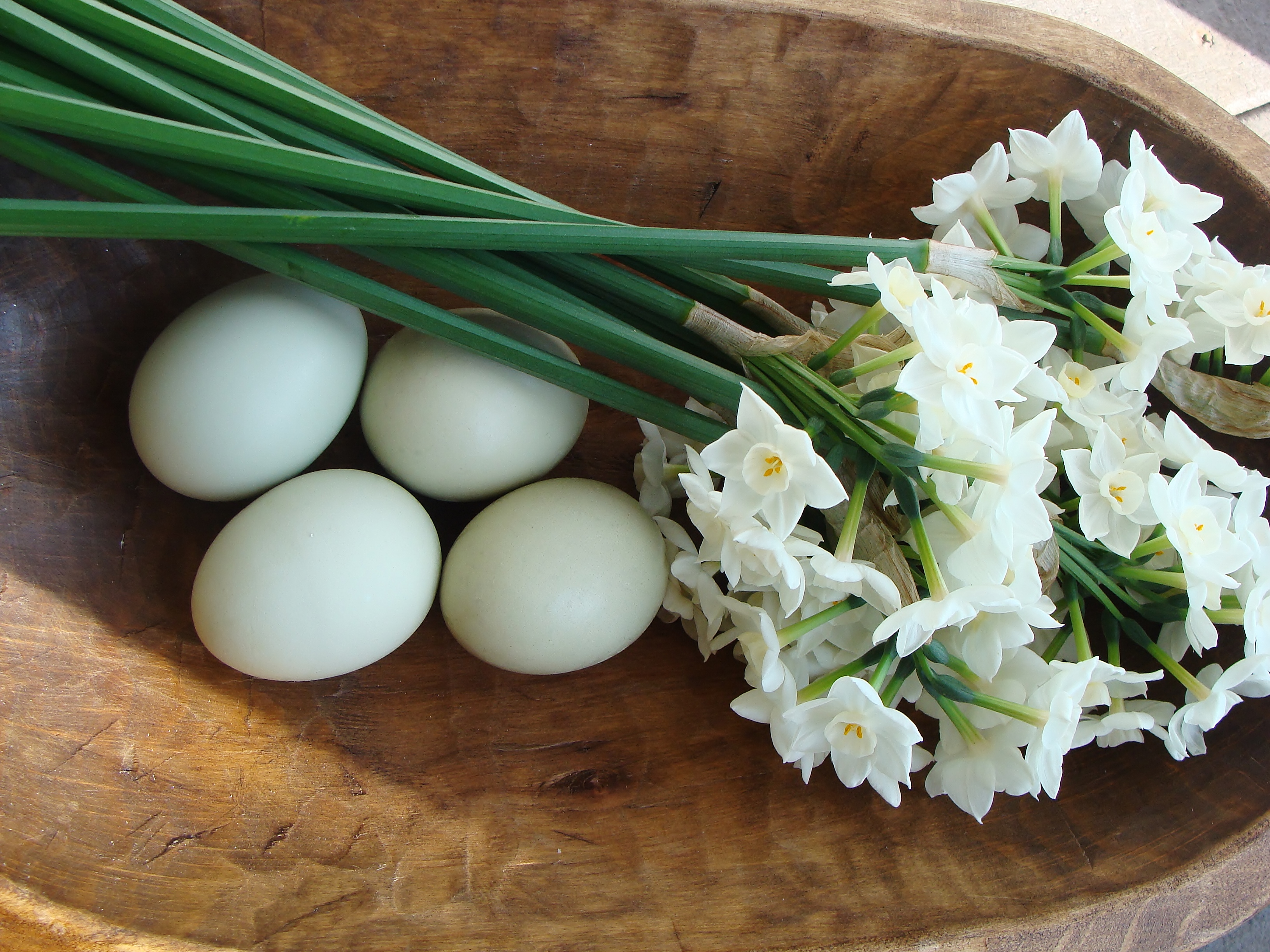 Our Family’s Perfect Chocolate Cake Baking and Eggs