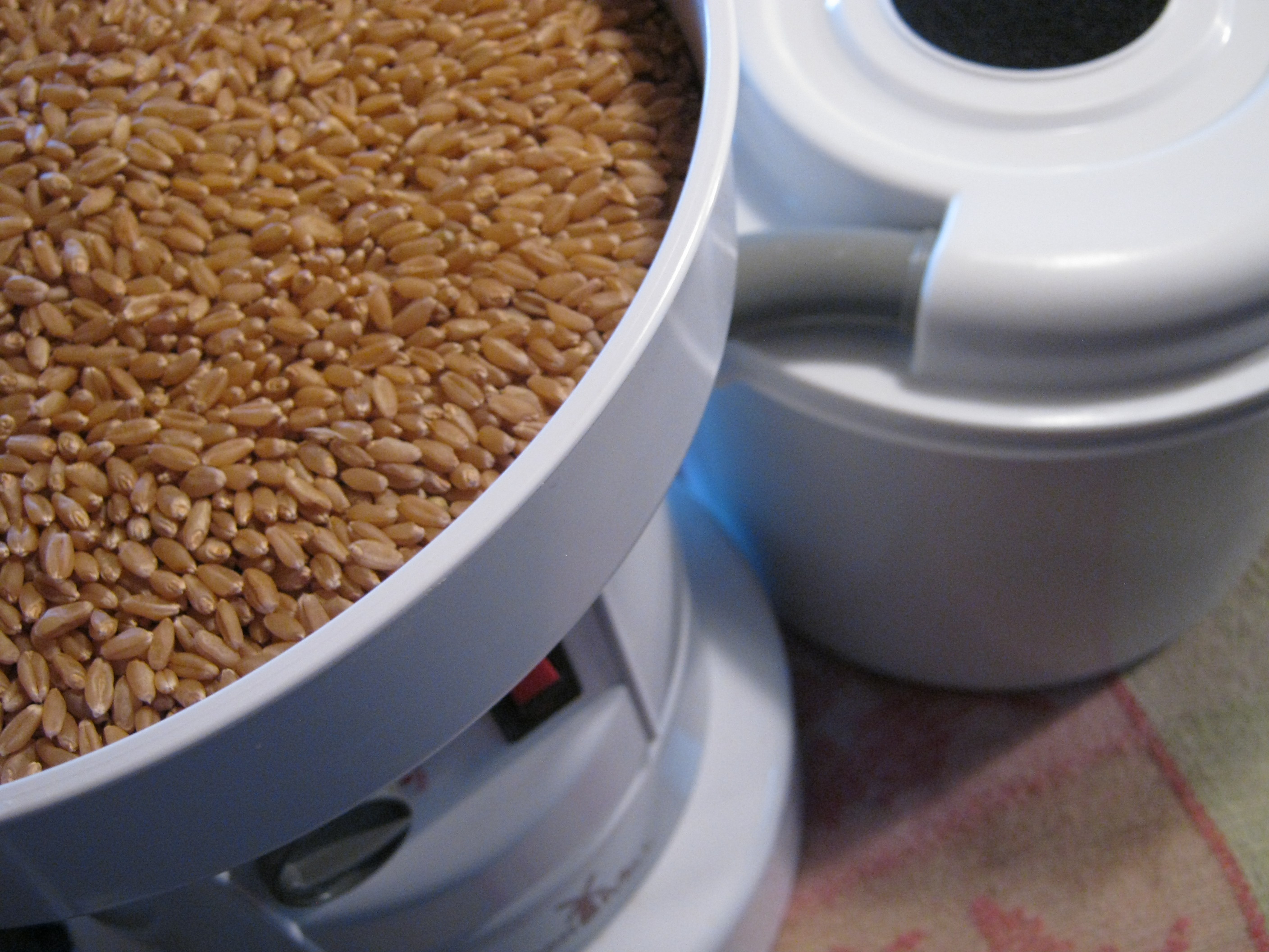 Easy Fresh Milled Whole Wheat Tortillas! Baking Whole Grains