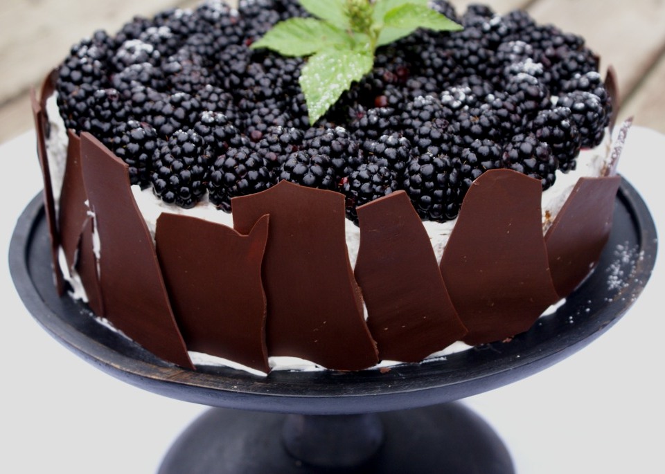 Chocolate mousse blackberry cake