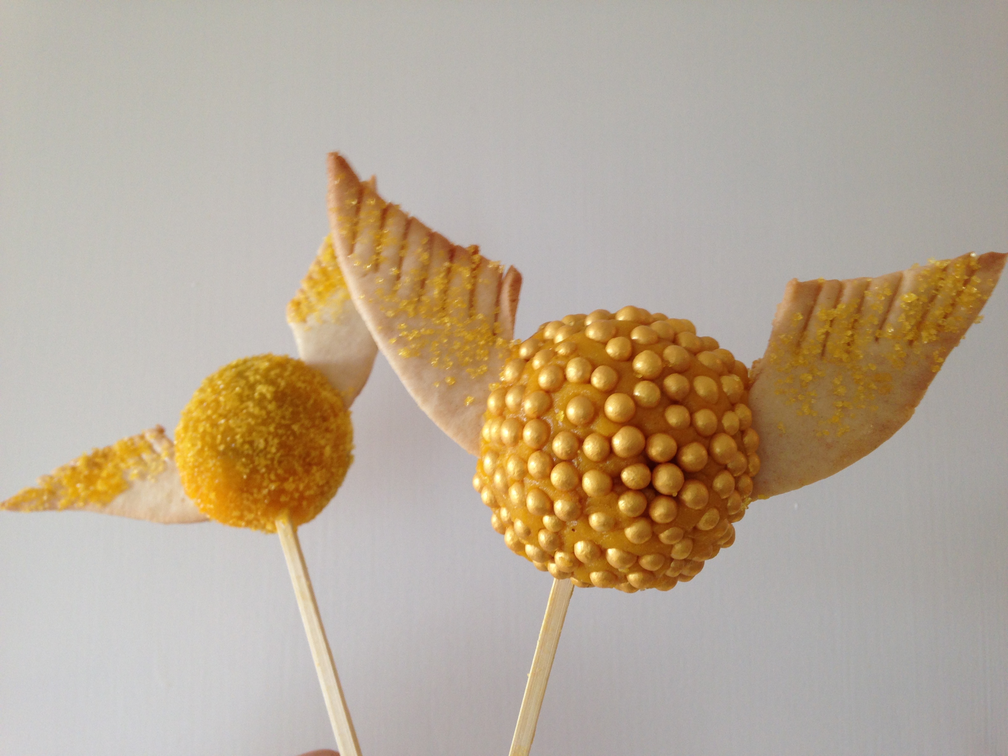 Potters Gyllene Kvicken Och En Lycklig Student | Bakodyssén