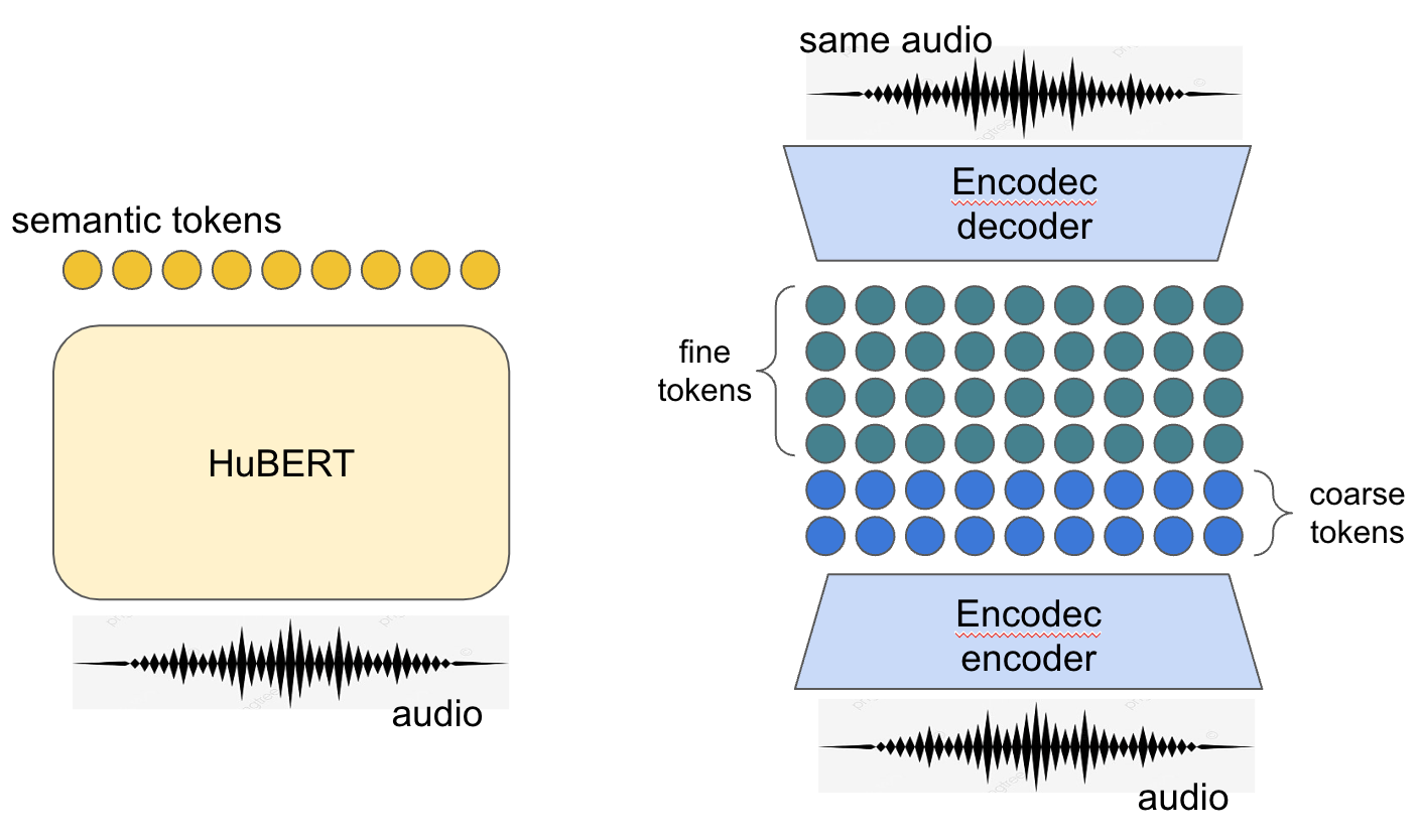 Dissecting BARK Balacoon