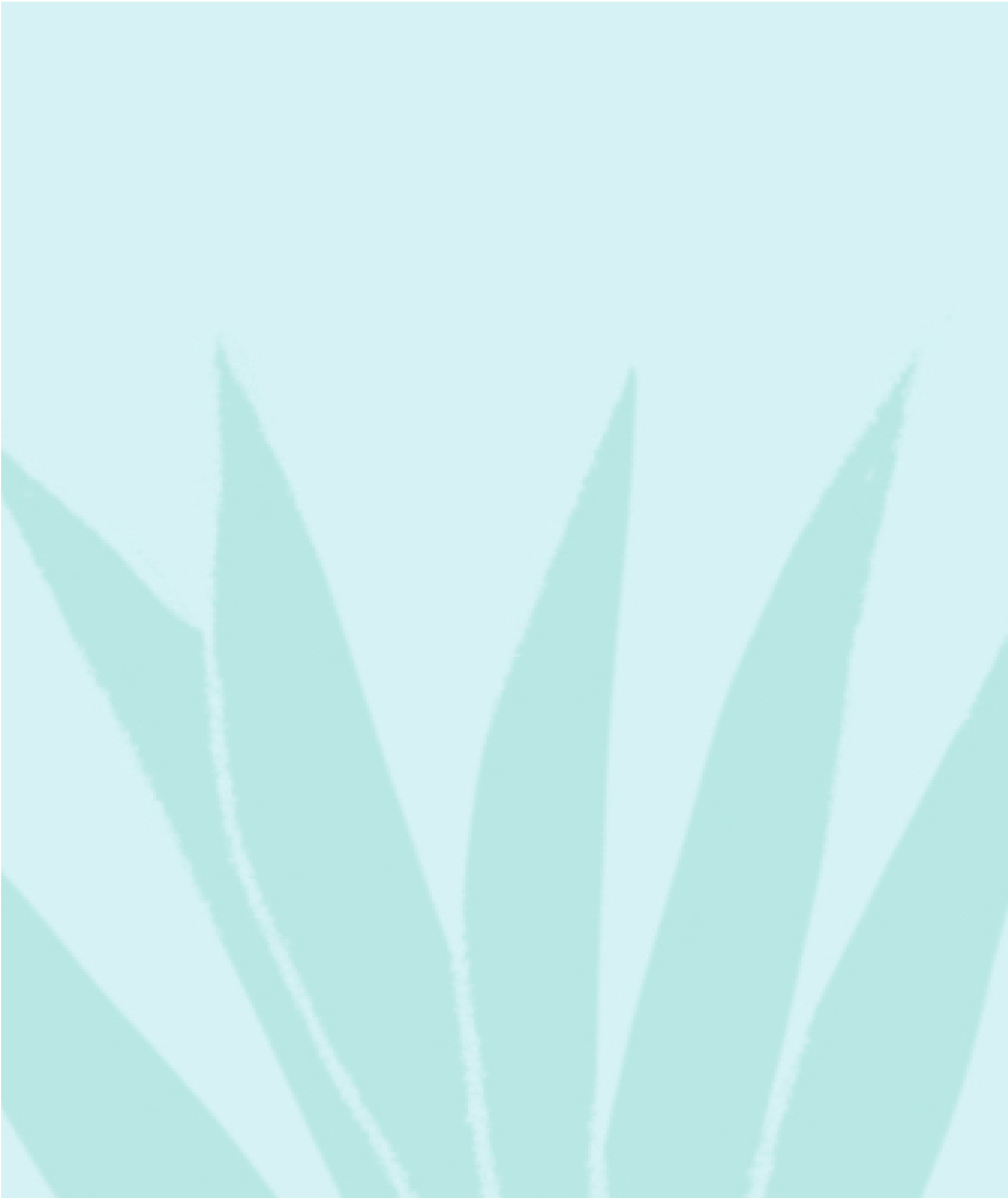 balance Menopause and hair loss Factsheet